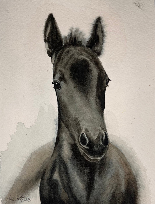 Fresian Foal Painting | Fresian Foal Art | The Sage Leaf Studio